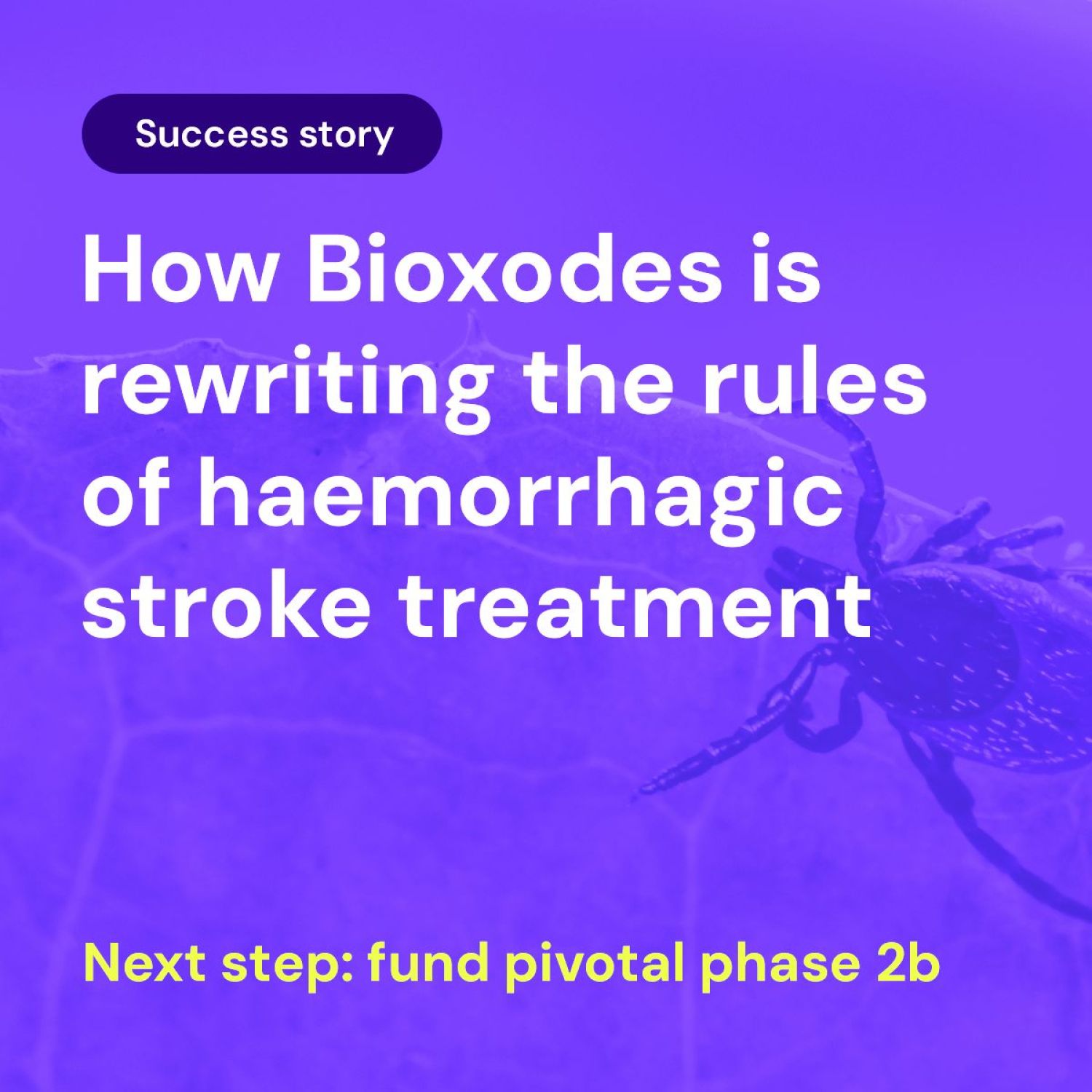 How Bioxodes is rewriting the rules of haemorrhagic stroke treatment